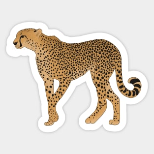 African Animal, Cheetah Cat Sticker
